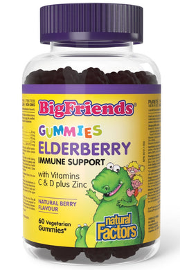 NATURAL FACTORS Elderberry Gummies (60 Vegetarian Gummies)