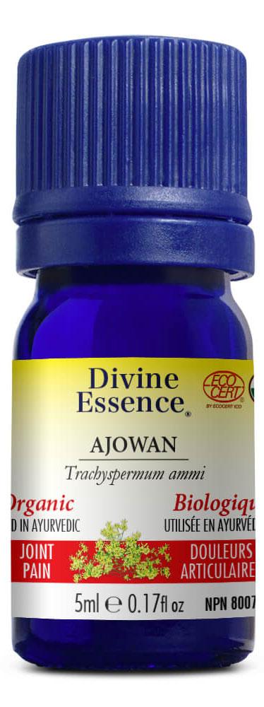 DIVINE ESSENCE Ajowan (Organic - 5 ml)