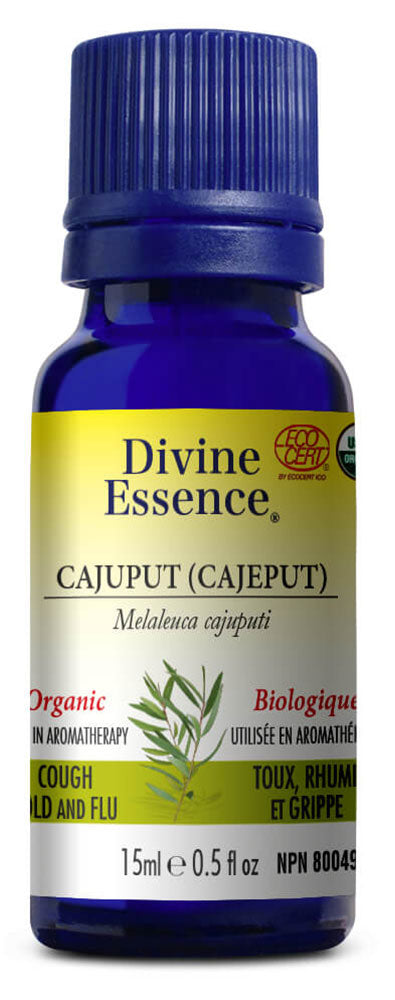 DIVINE ESSENCE Cajuput (Cajeput - Organic - 15 ml)