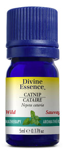 DIVINE ESSENCE Catnip (Wild - 5 ml)