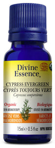 DIVINE ESSENCE Cypress - Evergreen (Organic - 15 ml)
