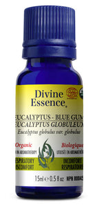 DIVINE ESSENCE Eucalyptus - Blue Gum (Organic - 15 ml)
