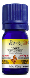 DIVINE ESSENCE Ginger (Organic - 5 ml)