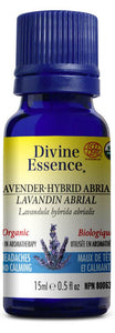 DIVINE ESSENCE Lavender Hybrid - Abrial (Organic - 15 ml)