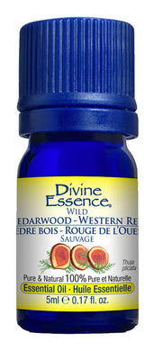 DIVINE ESSENCE Cedarwood - Western Red (Wild - 5 ml)